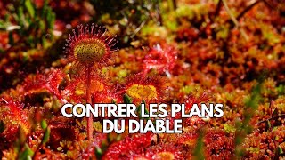 Contrer les plans du diable  LeDroitChemin [upl. by Kcirdehs]