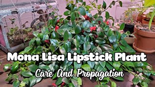 Mona Lisa Lipstick Plant Aeschynanthus Care And Propagation [upl. by Cesar]