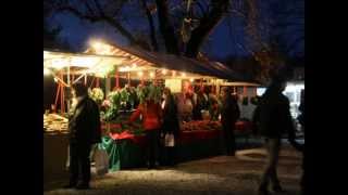 Julmarknad Taxinge Slott 17 nov [upl. by Evvy]