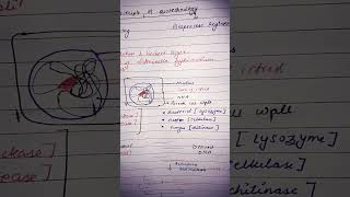 Class 12 biology ch 9 biotechnology principle nd processes best hand written notes only from ncert [upl. by Nnave]