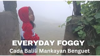 Everyday Foggy and Coldy👉Cada Balili Mankayan Benguet travel 2024 [upl. by Elvia]