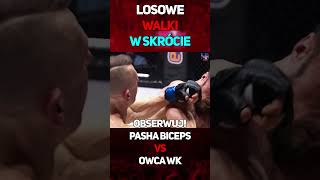 Pasha VS Owca  W Skrócie shorts pasha owca famemma walka [upl. by Ynnod]