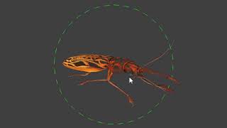 Beetle animations macrodontia cervicornis [upl. by Akihdar]