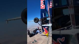 Skydiver got back to the Redbull plane  Skydive PRO parachute skydive [upl. by Plerre]