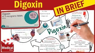 Digoxin  Digoxin Mechanism Of Action  Uses Dosage amp Side Effects Of Digoxin [upl. by Hceicjow]