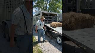 Loading horse and wagon the easy way  viral horsenation drafthorse equine horse [upl. by Odrautse]