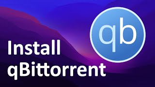 How to install qbittorrent on Windows 11 [upl. by Haff]