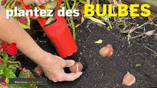 PLANTEZ EN AUTOMNE LES BULBES QUI FLEURISSSENT AU PRINTEMPS AVEC LES BONS CONSEILS DE NOS EXPERTS [upl. by Selby]