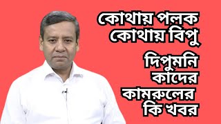 কোথায় পলক  কোথায় বিপু  দিপুমনি  কাদের  কামরুলের কি খবর [upl. by Chadbourne2]