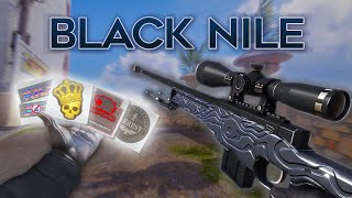 AWP Black Nile BEST Sticker Combos in CS2 [upl. by Bertilla]