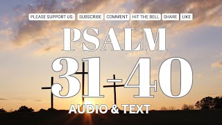 Psalm Narratives Heartfelt Wisdom Tranquil Psalms Listen amp Reflect Divine Psalms Audio [upl. by Adalie]