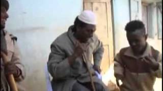 New Eritrea Comedy 2022 by Hagos Waldgebiet Meaar [upl. by Ynolem]