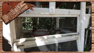 Quail Keeping For Beginners All You Need to Know to Get Started With Coturnix Quail [upl. by Sinnylg]