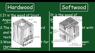 Hardwood vs Softwood Quick Difference and Comparisons [upl. by Aerdnac]