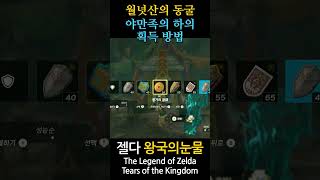 The Legend of Zelda Tears of the Kingdom 149 shorts zelda zeldatearsofthekingdom zeldatotk fyp [upl. by Dugas246]