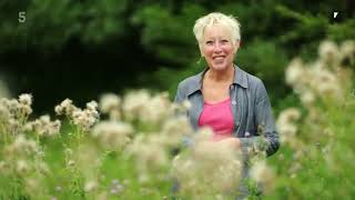 🔴 Gardeners World 2022  Gardening with Carol Klein 2022 Series 13 Episode 1 [upl. by Dlarej157]