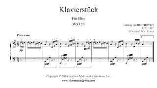 Beethoven  Für Elise WoO 59 [upl. by Renie728]