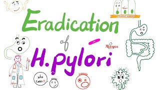 Eradication of Helicobacter Pylori Bacteria 🦠  The Triple Regimen amp The Quadruple Regimen [upl. by Ob]