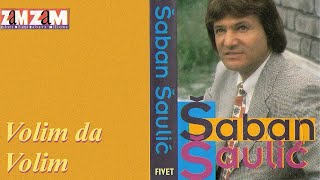 Saban Saulic  Ko je taj  Audio 1995 [upl. by Fawne497]