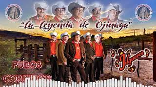 Los Jilgueros Del Arroyo 20 Exitos Inolvidables  Puros Corridos Pa Pistear Mix [upl. by Grous]