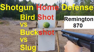 BIRD SHOT IS BEST Home Defense MUST WATCH [upl. by Aidyl]