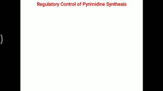 Regulation of Pyrimidine formation [upl. by Nelleeus]