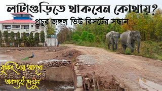 Lataguri Hotels Resorts In Gorumara গরুমারা তে জঙ্গল ভিউ রিসর্টের সম্পূর্ন তথ্য [upl. by Bergeman]