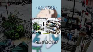 快递突然消失不见，监控拍下奇葩的一幕 [upl. by Meletius]