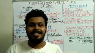 DNA extraction and purification from bacteria  DNA quantity purity and quality measurement [upl. by Constance512]