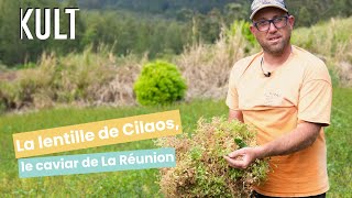 La lentille de Cilaos le caviar de La Réunion [upl. by Daryn29]