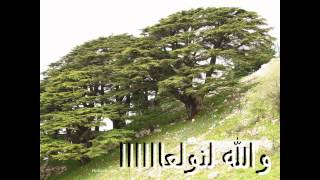 LEBANESE DABKE والله لنولعا دبكة ولا اجمل [upl. by Nnylamme]