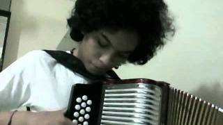 La Noyee  Cover accodion  Mulett Yann Tiersen  Amelie [upl. by Letnwahs]