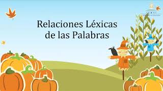 Relaciones léxicas – Octavo Grado  Español [upl. by Yolande]