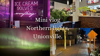 AURORA  Northern lights in ONTARIO  UNIONVILLE  TORONTO VLOG [upl. by Britte]