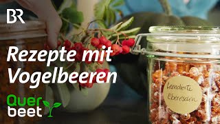 Ebereschen Wildobst kandiert und als Chutney [upl. by Etram]