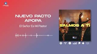 El Señor Es Mi Pastor  mcnpsansalvador  Visualizer [upl. by Lurie345]