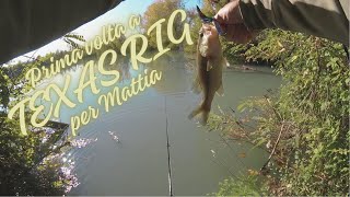 BASS FISHING  Pusiano e Tobiere del Sebino  Novembre 2024  Bella cattura a TEXAS RIG per Mattia [upl. by Savell]