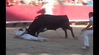 ARLES  Cocarde dor 2012  Course Camarguaise [upl. by Granese983]