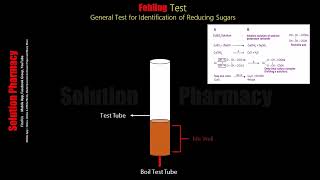 Fehlings Test  Test for Reducing Sugar Biochemical test for Carbohydrate  Animated Video English [upl. by Darrell]