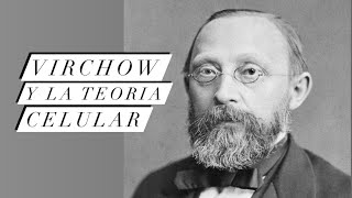 Rudolf Virchow y la Teoría Celular Un Microscópico Cambio de Paradigma [upl. by Kistner408]