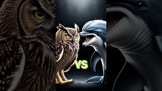 Dolphin VS Owl❗️Which animal is the smartest⁉️ facts animals shorts [upl. by Eniamret260]