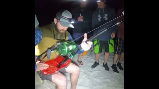 Great White Shark breaches at Ocean Beach [upl. by Karyl611]