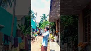 Kallura parkkum parvai shortsfeed reels trend viralshorts ytshort subscribe [upl. by Mitzie]