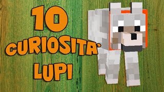 Minecraft Curiosità  10 curiosità sui Lupi w BisUmTo [upl. by Aneerehs]