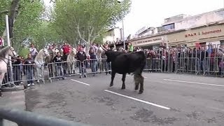 Arles ouvre la saison des férias [upl. by Roach153]