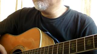 Bluebird  Paul McCartney amp Wings cover [upl. by Domenic857]