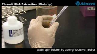 Plasmid DNA Extraction Miniprep [upl. by Ephrem]