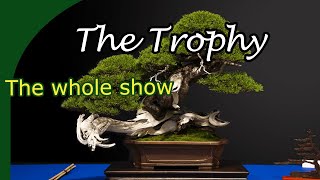 Bonsai Trophy 2023  Trees Traders Trophys the aftermath [upl. by Netsirhk939]