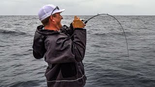 AMAZING DEEP SEA FISHING Catch Clean Cook Massive Tilefish and Mahi Virginia Beach [upl. by Bunce]