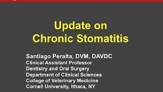 Update on Chronic Stomatitis  conference recording [upl. by Laughlin547]